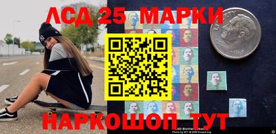 СК Ярославль