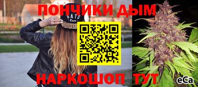 СК Ярославль