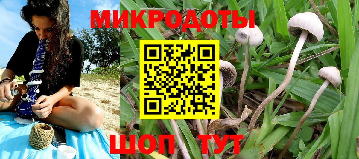 Галлюциногенные грибы GOLDEN TEACHER Заволжье