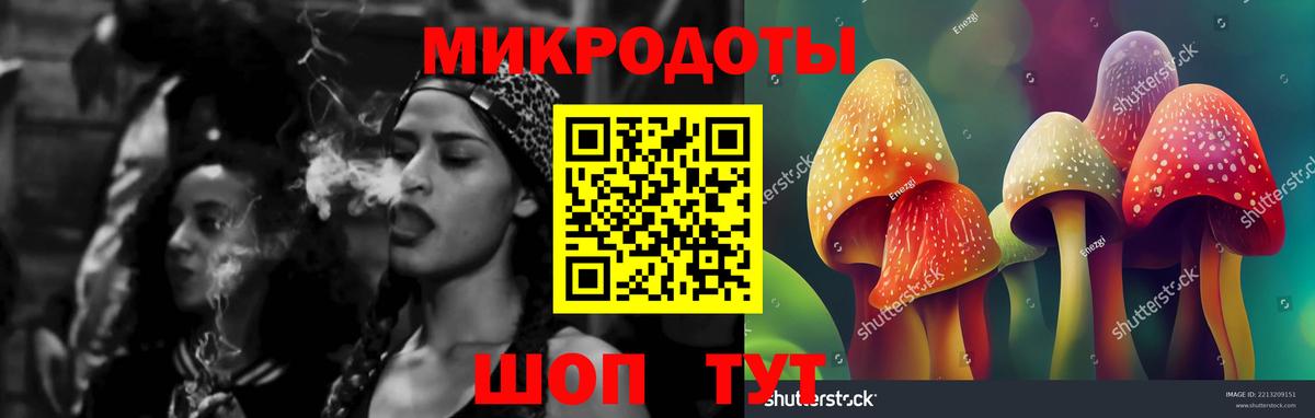 Заволжье  Галлюциногенные грибы мухоморы  Псилоцибиновые грибы Psilocybine cubensis  Вход с VPN 